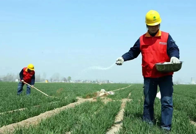 9e029937d044544a69a7c53713ecd089